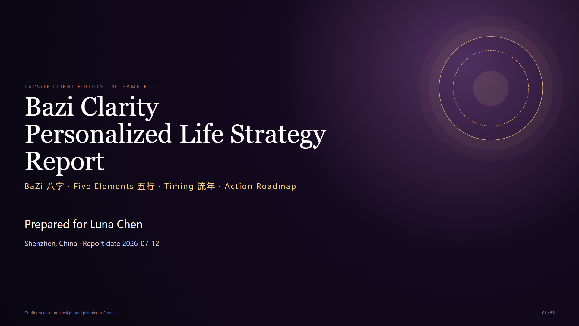 Personalized Life Strategy Report sample cover